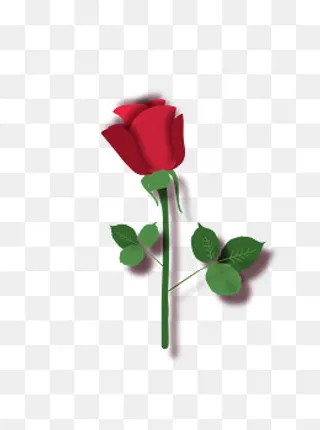 七夕情人节红色玫瑰矢量元素,免抠元素
