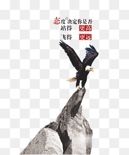 企业文化态度老鹰创意海报