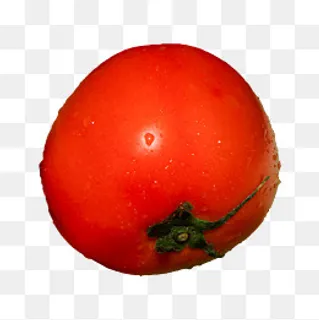 西红柿蔬菜(png免抠) 西红柿蔬菜(png免抠)