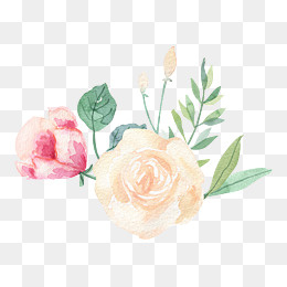 卡通水彩手绘小清新花草,免抠元素