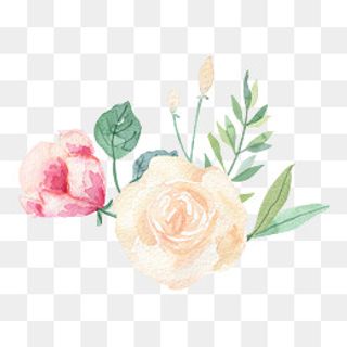 卡通水彩手绘小清新花草,免抠元素