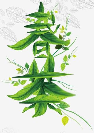 绿色创意春茶艺术字