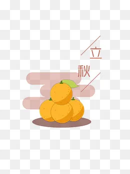 二十四节气立秋金桔丰收原创商用,免抠元素