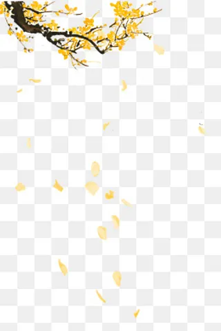 精致金色的梅花免抠素材,免抠元素