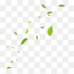 风吹散的落叶漂浮素材免费下载,免抠元素