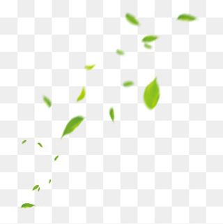 风吹散的落叶漂浮素材免费下载,免抠元素