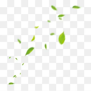 风吹散的落叶漂浮素材免费下载,免抠元素