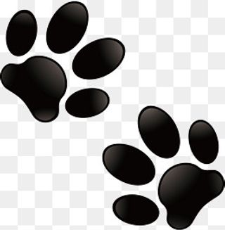 卡通黑色的猫爪印矢量图,免抠元素