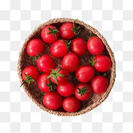 圣女果加工设计素材,免抠元素