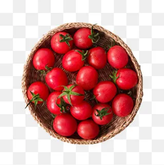 圣女果加工设计素材,免抠元素