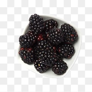 灰色桑葚,免抠元素