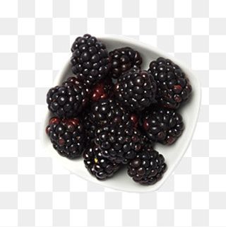 灰色桑葚,免抠元素