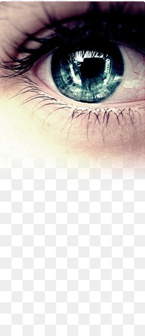 洞察 观察 洞察力