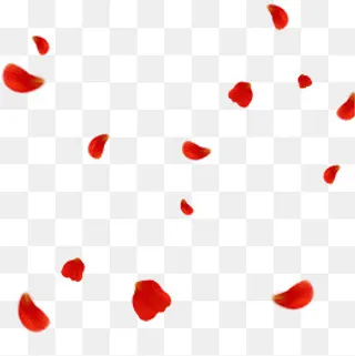 手绘矢量玫瑰花瓣,免抠元素