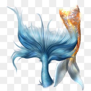 美人鱼素材,免抠元素