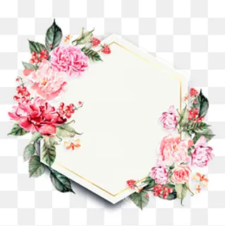 美丽的花草和树叶画了边界