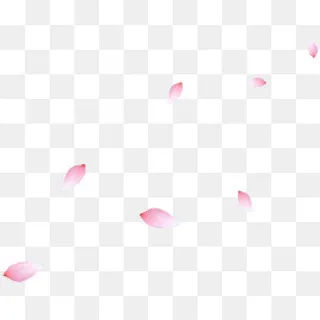 漂浮花瓣,免抠元素