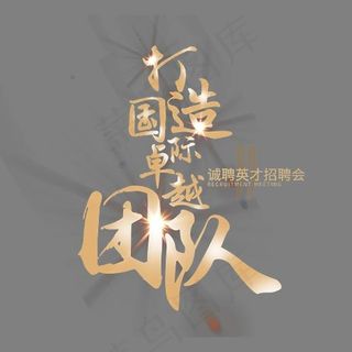 打造国际卓越团队