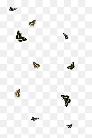 手绘唯美蝴蝶漂浮素材,免抠元素