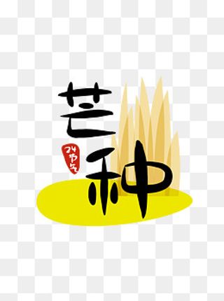 24节气芒种二十四节气原创商用元,免抠元素