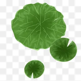 绿色的仿真荷叶免抠图(2000*2000px)psd模版下载