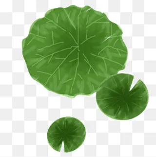 绿色的仿真荷叶免抠图