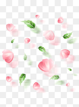 小清新手绘花瓣树叶漂浮元素2,免抠元素