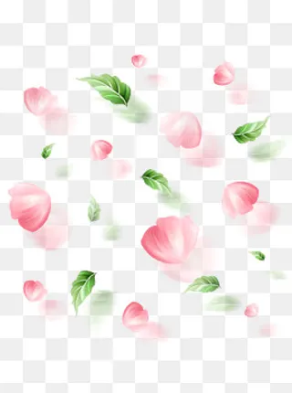 小清新手绘花瓣树叶漂浮元素2,免抠元素