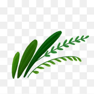 手绘美丽植物绿色草,免抠元素