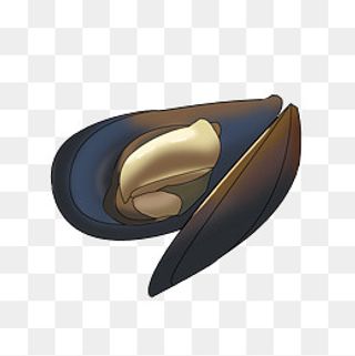 海鲜海洋生物贝类青口贝贻贝海虹,免抠元素