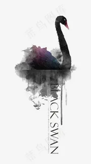 水彩黑天鹅文案