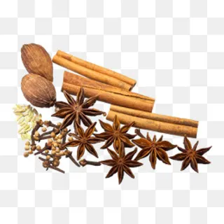 煲汤食材八角香料,免抠元素