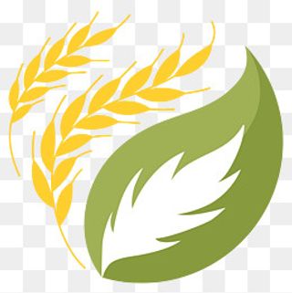 麦穗图标免抠PNG,免抠元素