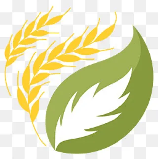 麦穗图标免抠PNG,免抠元素
