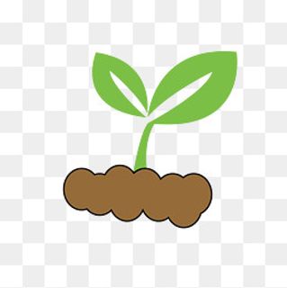 一棵手绘的小绿芽,免抠元素