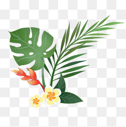 手绘热带植物叶子插画
