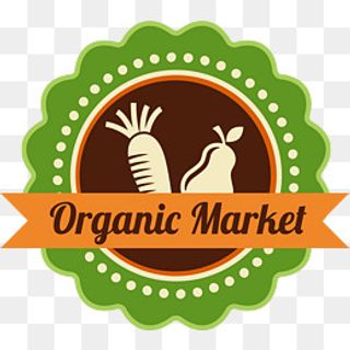 自然蔬菜水果标签,免抠元素