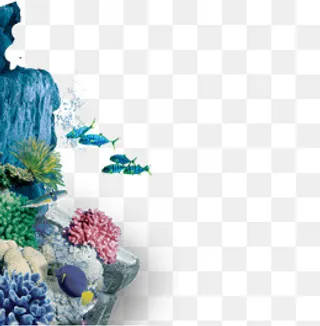 海底世界美丽珊瑚,免抠元素