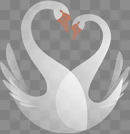 情人节恩爱的白色天鹅,免抠元素(1500*1540px)
