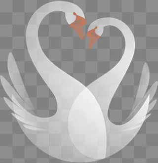 情人节恩爱的白色天鹅,免抠元素