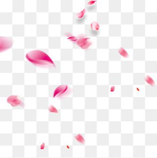 蓝莓花瓣装饰元素,免抠元素