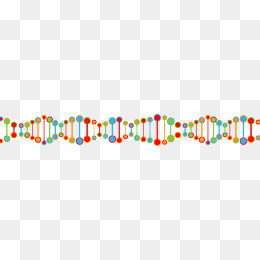可爱炫彩DNA矢量图