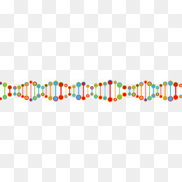 可爱炫彩DNA矢量图(1500*186px)ai矢量模版下载