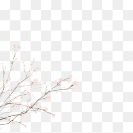 古风花朵边框桃花,免抠元素(2000*2000px)psd模版下载