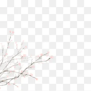 古风花朵边框桃花,免抠元素