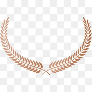 金色的*标志麦穗,免抠元素