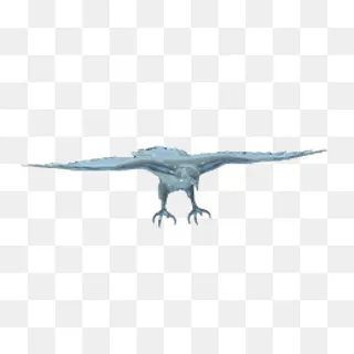 创意逼真玻璃陶瓷雄鹰鸟,免抠元素