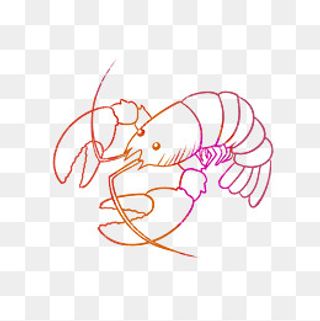 手绘红色小龙虾设计素材