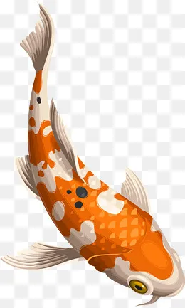 游动的鲤鱼素材图,免抠元素(2330*3870px)ai矢量模版下载