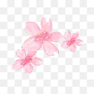 粉色花朵矢量图下载